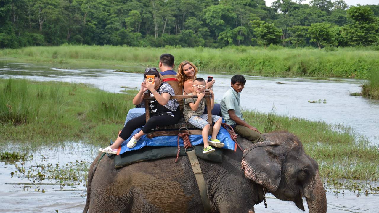 Wildlife Safaris in Nepal